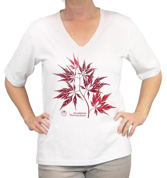 Acer Dissectum Garneta — premium  t-shirt