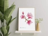 Saucer magnolia — plant motif poster