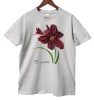 Black Emanuelle daylilies — classic t-shirt