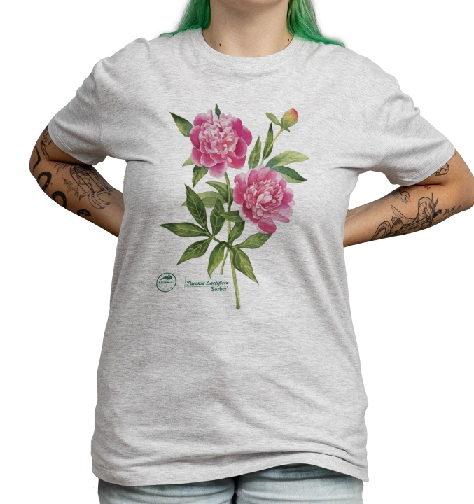 Chinese peony 'Sorbet' — classic t-shirt