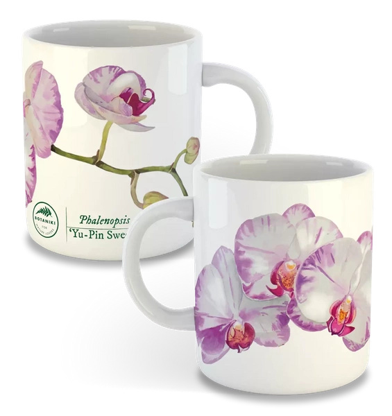 Orchid phalaenopsis — classic mug