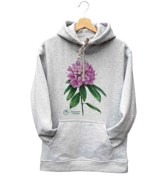Catawba rosebay — hoodie