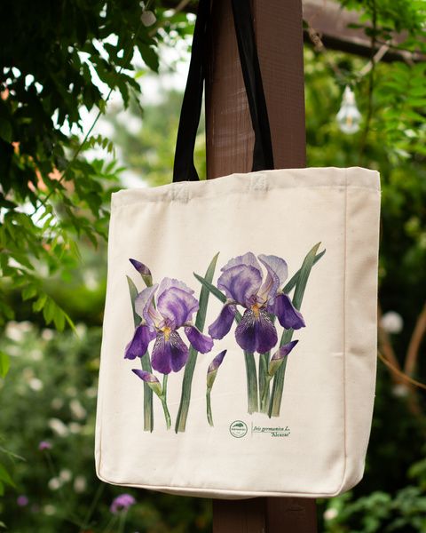 Bearded iris 'Alcazar' — premium cotton bag