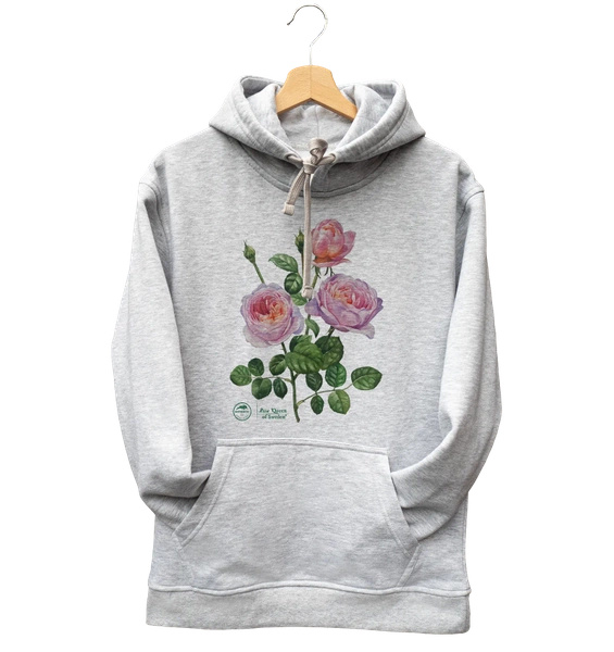 Rose 'Queen of Sweden'  — hoodie