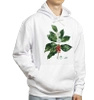 Coffea arabica — hoodie