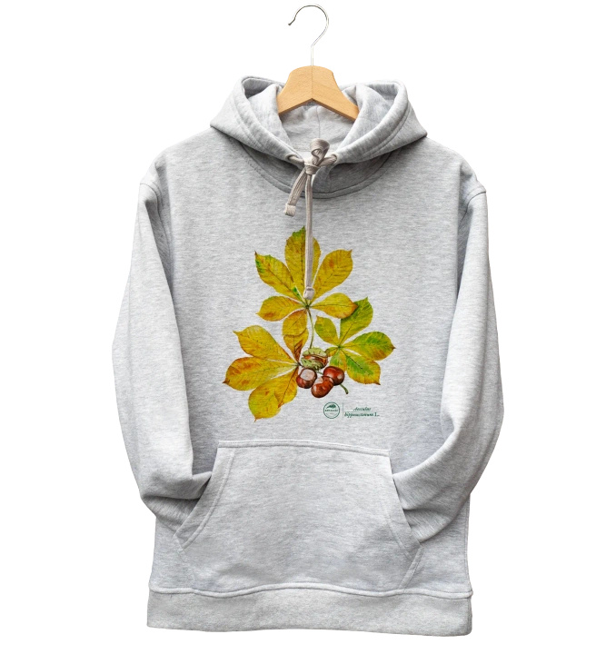 Horse chestnut — hoodie