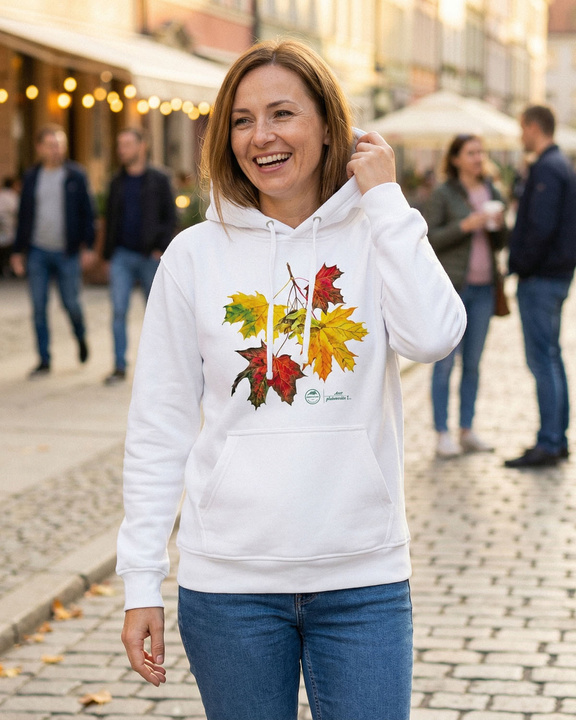 Norway maple — hoodie