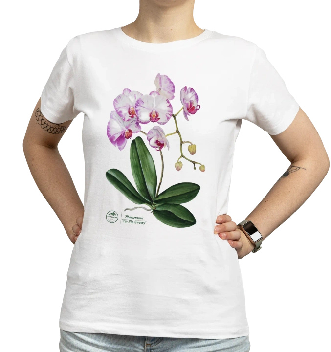 Orchid phalaenopsis — women's t-shirt
