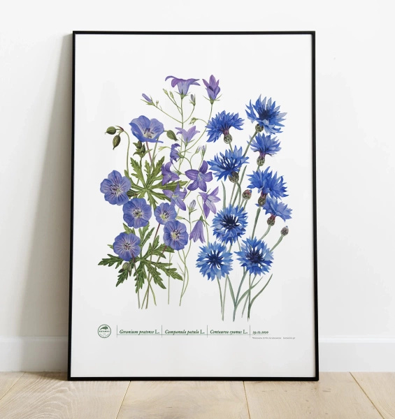 Blue meadow — plant motif poster