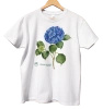 Hydrangea 'Jip Blue' — classic unisex t-shirt