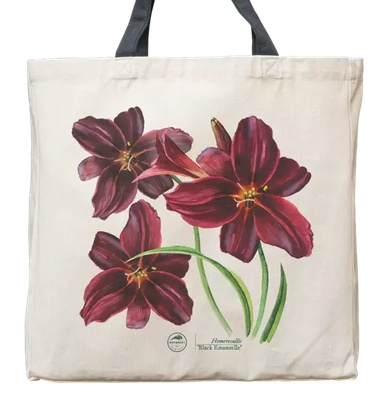 Daylily 'Black Emanuelle' — premium cotton bag