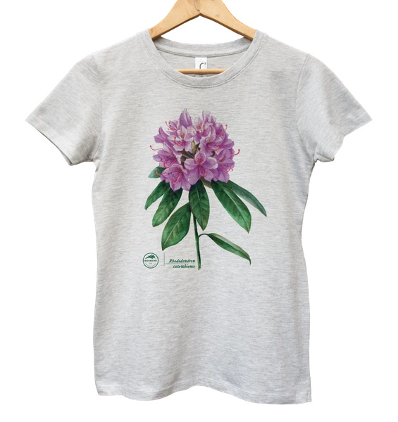 Catawba rosebay — women's t-shirt