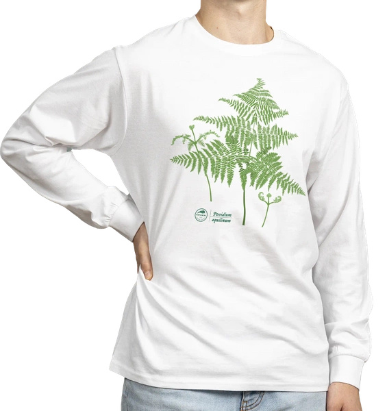 Eagle fern — long sleeve t-shirt