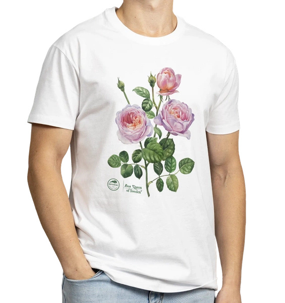 Rose 'Queen of Sweden'  — classic t-shirt