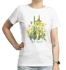 Golden herbs — women's t-shirt