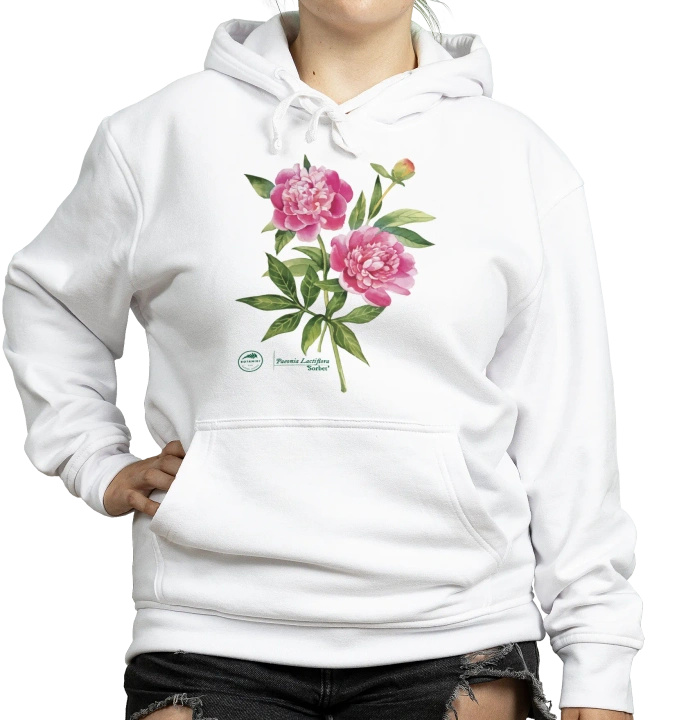 Chinese peony 'Sorbet' — hoodie