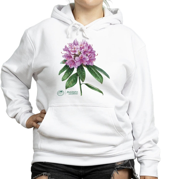 Catawba rosebay — hoodie