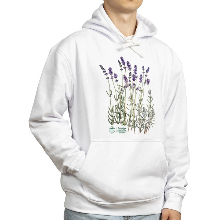 Lavender 'Hidcote' — hoodie