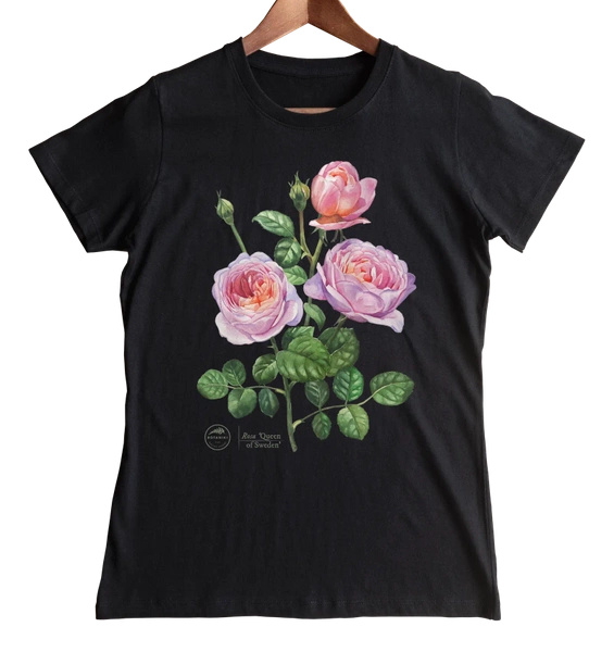 Rose 'Queen of Sweden' — women's t-shirt