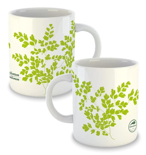 Maidenhair fern — classic mug