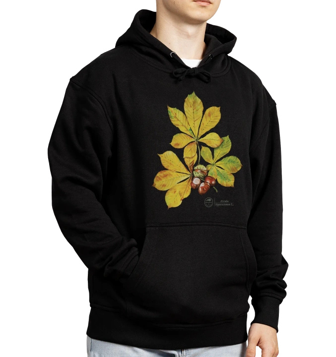 Horse chestnut — hoodie