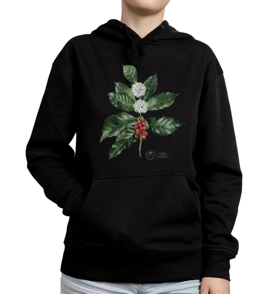 Coffea arabica — hoodie