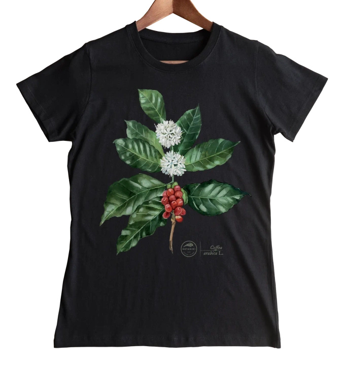 Coffea arabica — women's t-shirt