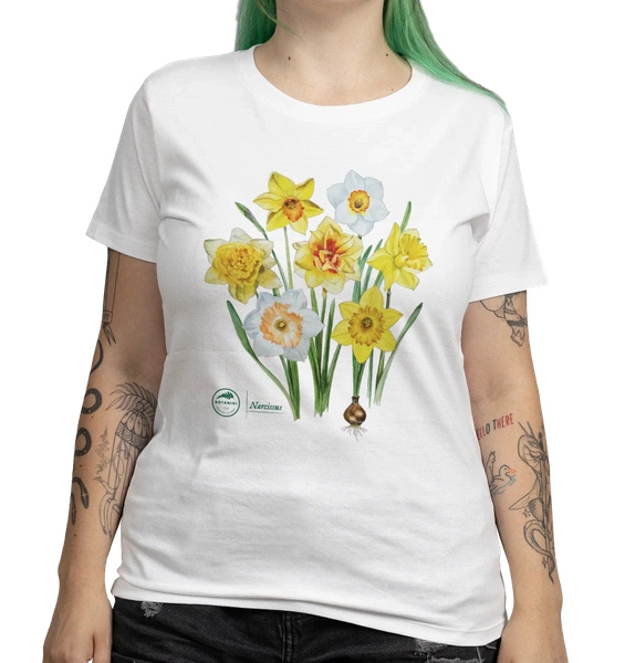 Daffodils — women's t-shirt