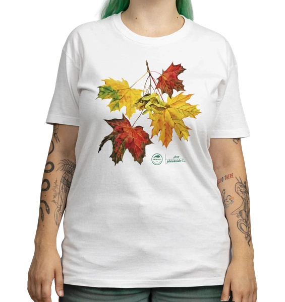 Norway maple — classic t-shirt