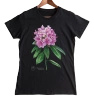 Catawba rosebay — women's t-shirt