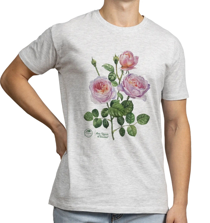 Rose 'Queen of Sweden' — classic t-shirt