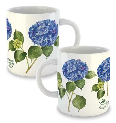 Hydrangea 'Jip Blue' — classic mug