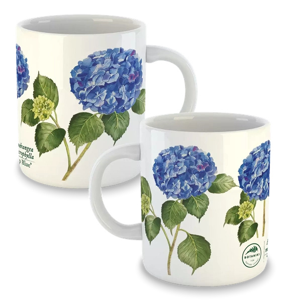 Hydrangea 'Jip Blue' — classic mug