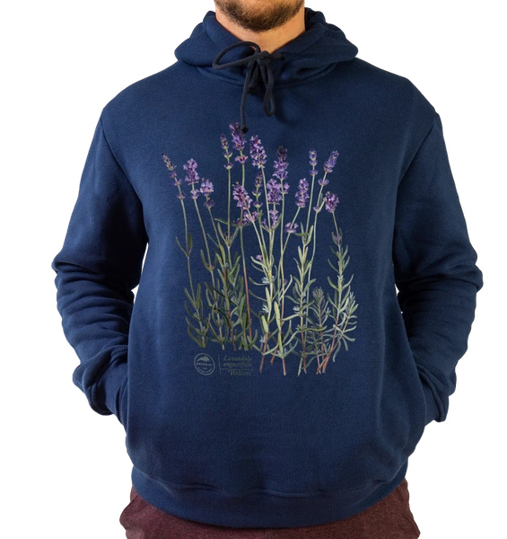 Lavender 'Hidcote' — premium hoodie