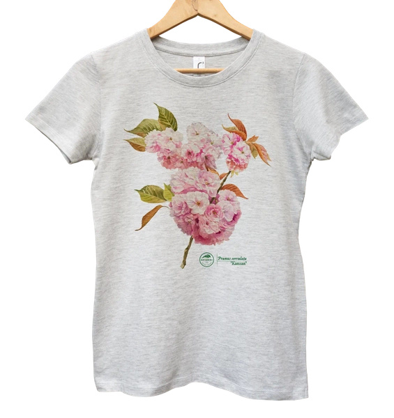 Cherry blossom 'Kanzan' — women's t-shirt