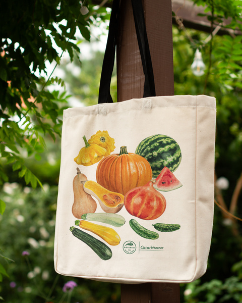 Cucurbit vegetables — premium cotton bag