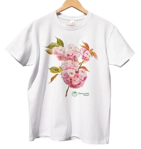 Cherry blossom 'Kanzan' — classic unisex t-shirt