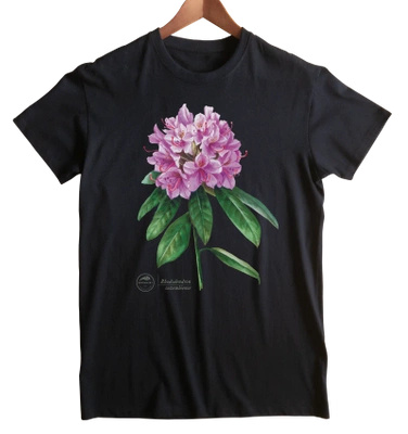 Catawba rosebay — t-shirt classic