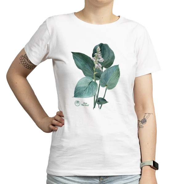 Hosta 'Blue Rock' — women's t-shirt