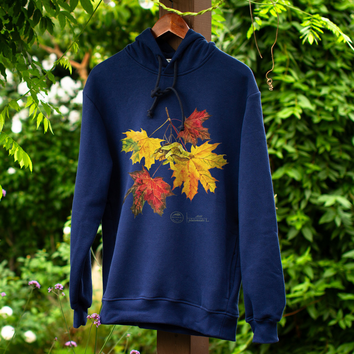 Norway maple — premium hoodie
