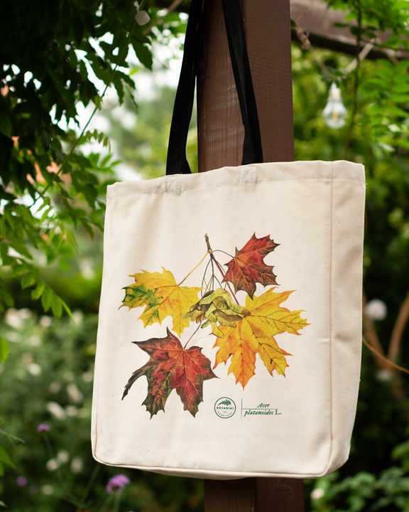 Norway maple — premium cotton bag