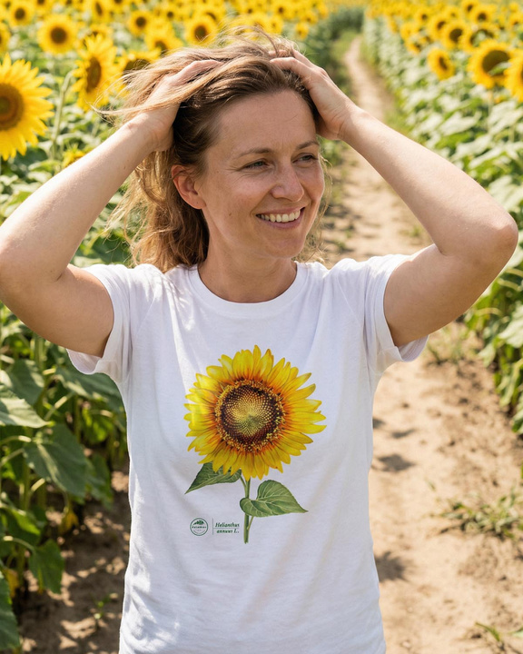 Common sunflower — classic t-shirt