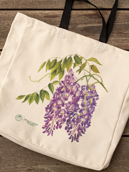 Chinese wisteria 'Prolific' — premium cotton bag