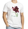 Black Emanuelle daylilies — classic t-shirt