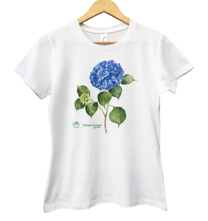 Hydrangea 'Jip Blue' — women's t-shirt