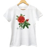 Rhododendron 'Fireball' — women's t-shirt