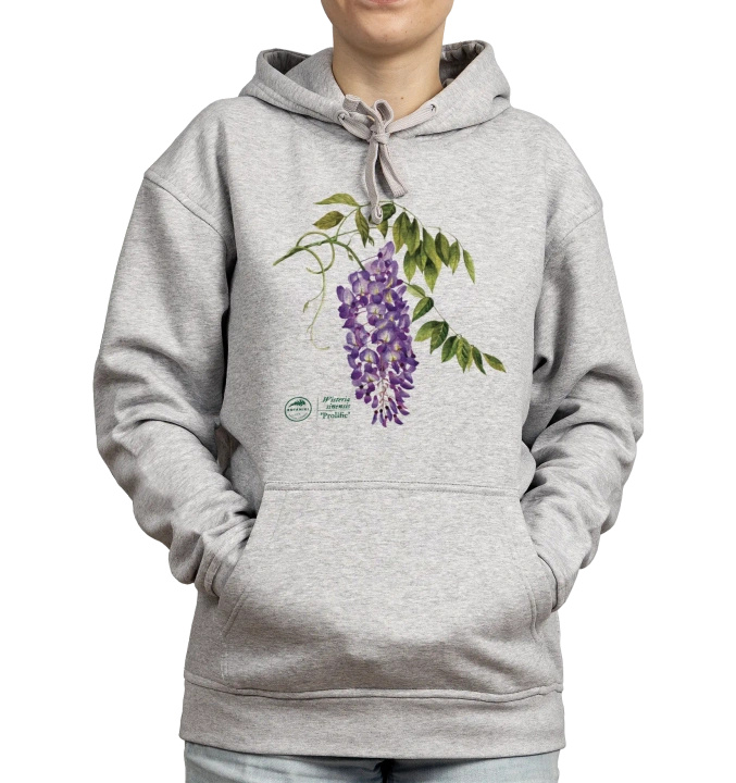 Chinese wisteria 'Prolific' — hoodie