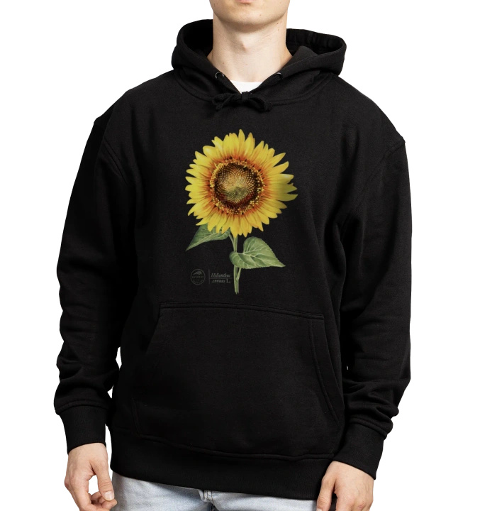 Common sunflower — hoodie