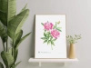 Chinese peony 'Sorbet' — plant motif poster