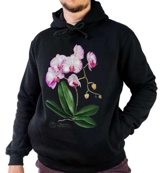 Orchid phalaenopsis — premium hoodie